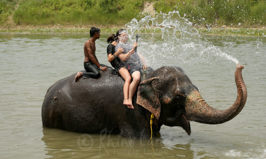 Elephant Bathing