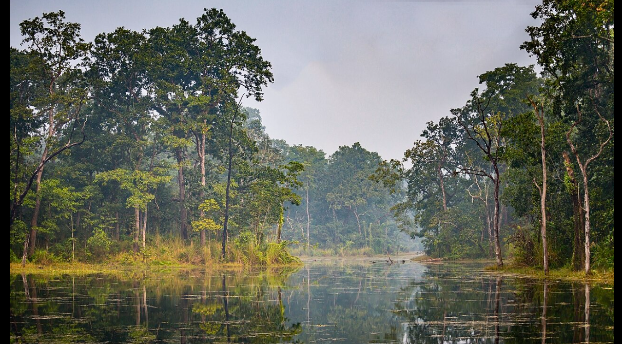 Chitwan Landscape